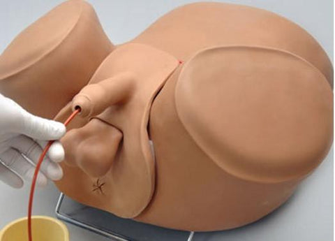male prostate exam catheterization manikin simulator model