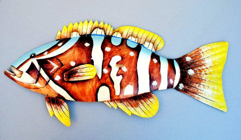 Grouper Fish 