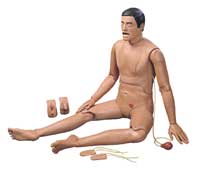 Dental Oral Anesthesia Manikin