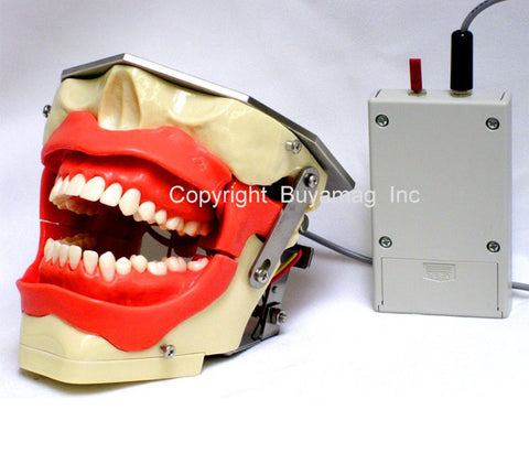 Dental Models Simulators