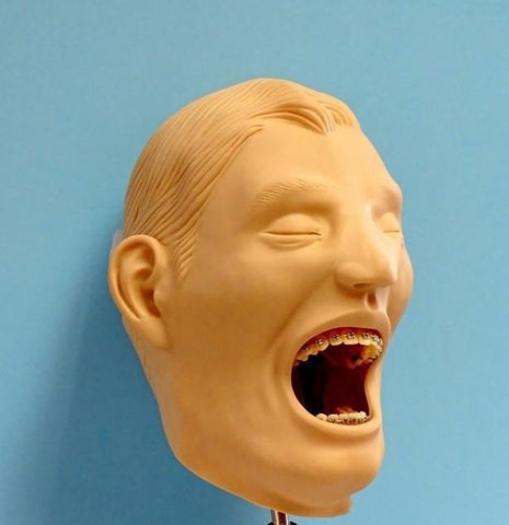 orthodontic manikin simulator model