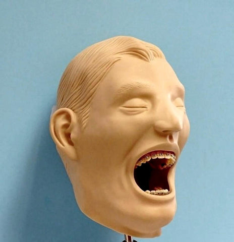 Orthodontic Models Manikin