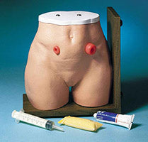 Ostomy Peritoneal Dialysis Simulators Training Models