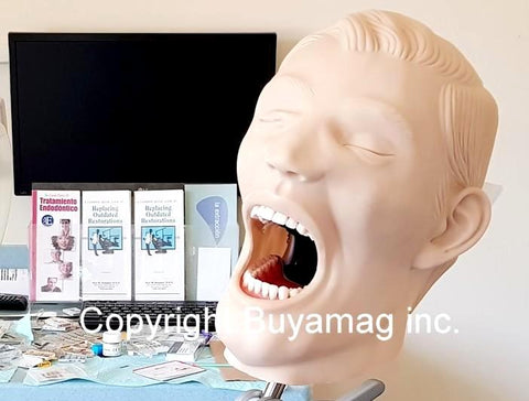 periodontal training manikin practice simulator models