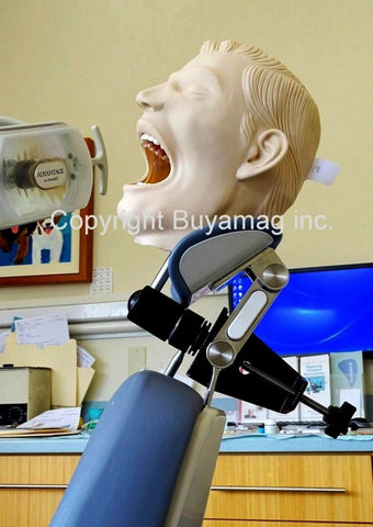 Periodontal Hygiene Simulator Manikin Model 