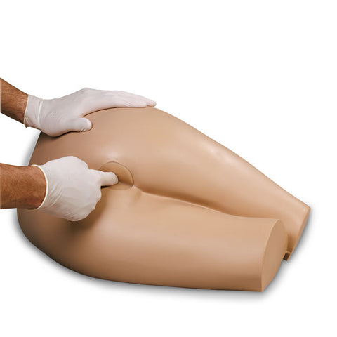 Rectal Examination Simulator Model