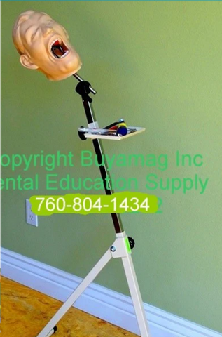 dental panoramic radiology x-ray manikin practice simulator phantom head