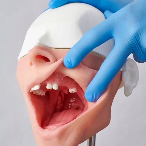 teeth implantation manikin simulator 