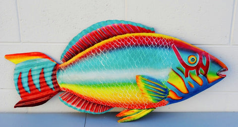 Parrot Fish Water-Life