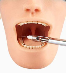 dental oral anesthesia simulator manikin
