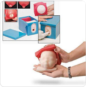Cervical Dilatation Gynecology Obstetric Cervix Model- – Buyamag INC