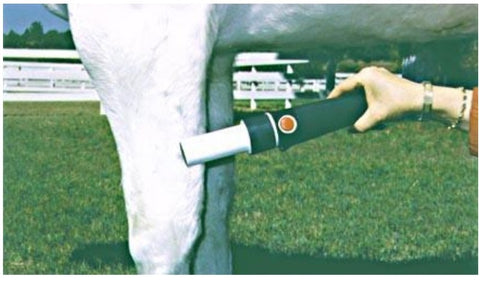 horse magnetic massager 
