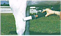 horse magnetic massager 