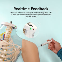 shoulder injection Intramuscular model arm simulator 