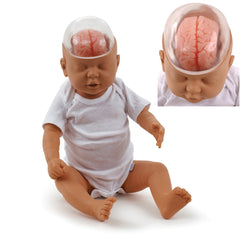 Shaken Baby Model Simulator Manikin