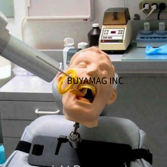 dental x-ray training manikin radiography model 