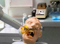 oral radiology x-ray manikin simulator phantom head