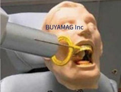 dental x-ray manikin model phantom