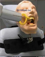 dental radiology simulator manikin