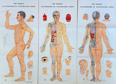 acupuncture posters wall charts