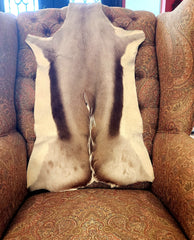 African gazelle skin 