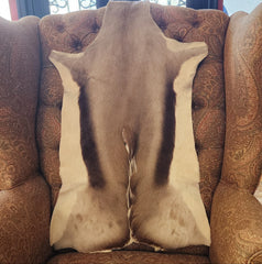 African gazelle skin 