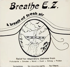 Air Personal Ionizer