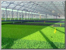 commercial humidifiers greenhouse