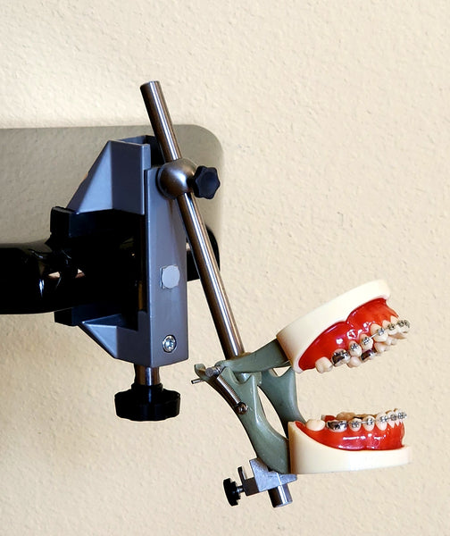 Dental Bench Table Mount Practice Training- – Buyamag INC