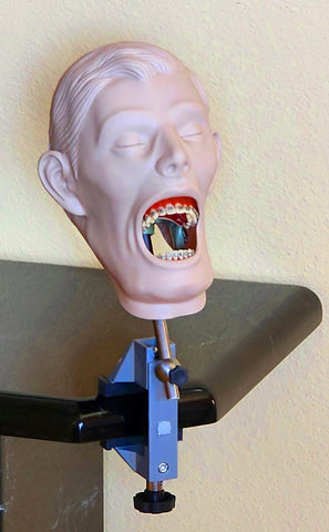 orthodontic manikin simulator model