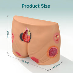 Decubitus Buttocks Ulcer Wound Care Simulator Training Bed Pressure Injury Manikin Model
