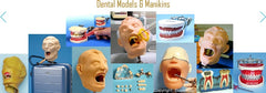dental rubber mold cast former model
