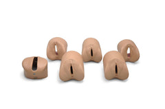 cervical dilation models