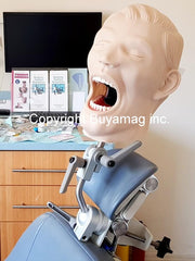 dental practice training chair mount