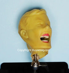 Child Dental Teeth Extraction Training Simulator/Manikin Pedodontic Complete & Mount