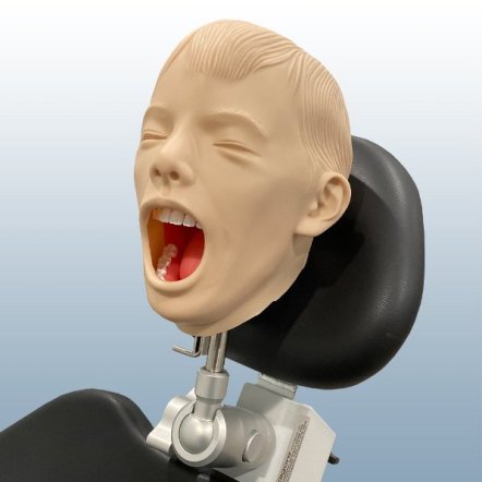 Child Periodontal Hygiene Techniques Training Simulator Manikin Complete Chair or Bench Mount