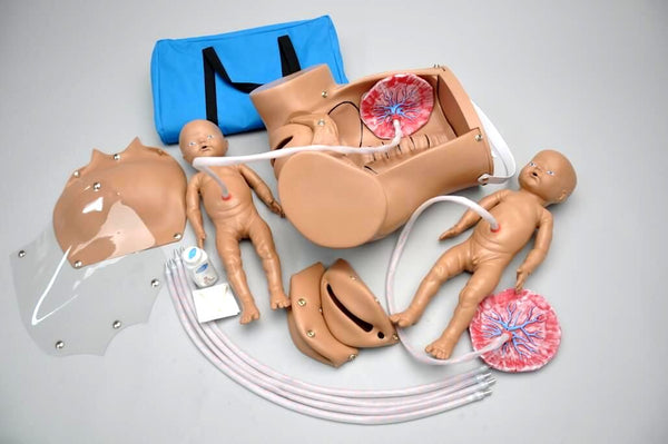 maternal labor obstetric neonatal model