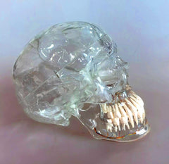 maxillofacial surgery skull
