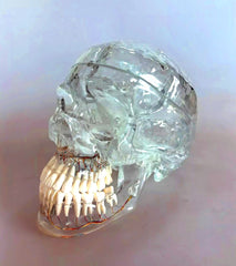 maxillofacial drilling operative skull