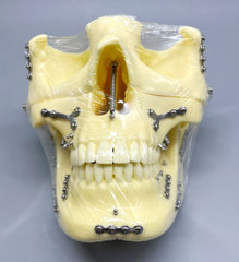 skull craniofacial surgery injuries simulator model