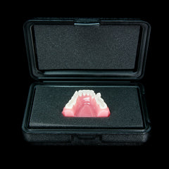dental models fasety box display