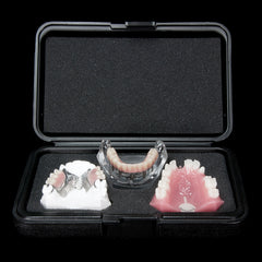 dental safety carrying model plastic  boxes