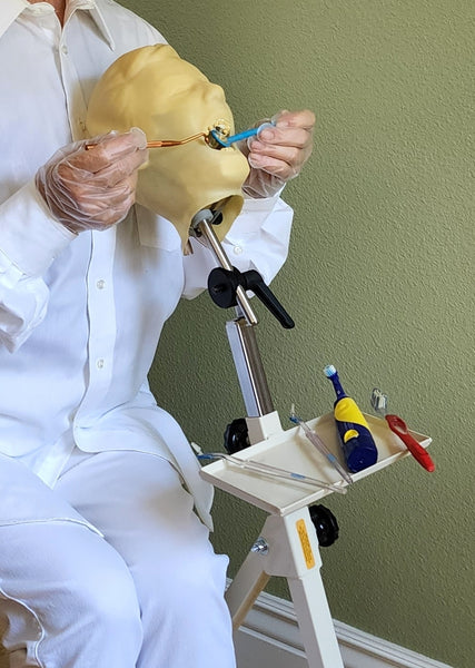 Child Dental Teeth Extraction Training Simulator/Manikin Pedodontic Complete & Mount
