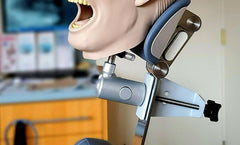 dental phantom head