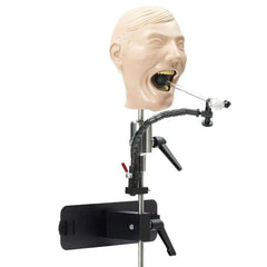 Dental teeth X-Ray manikin phantom head