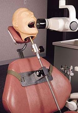 Dental practice X-Ray manikin