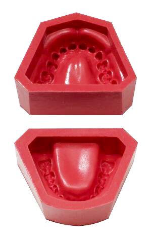 dental model mold rubber form