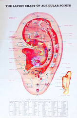 ear auricular acupuncture chart