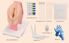 female vaginal examination pelvic simulator