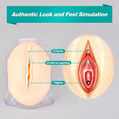 female urethral catheterization model simulator training practice phantom